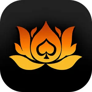 Review Aplikasi dewihoki